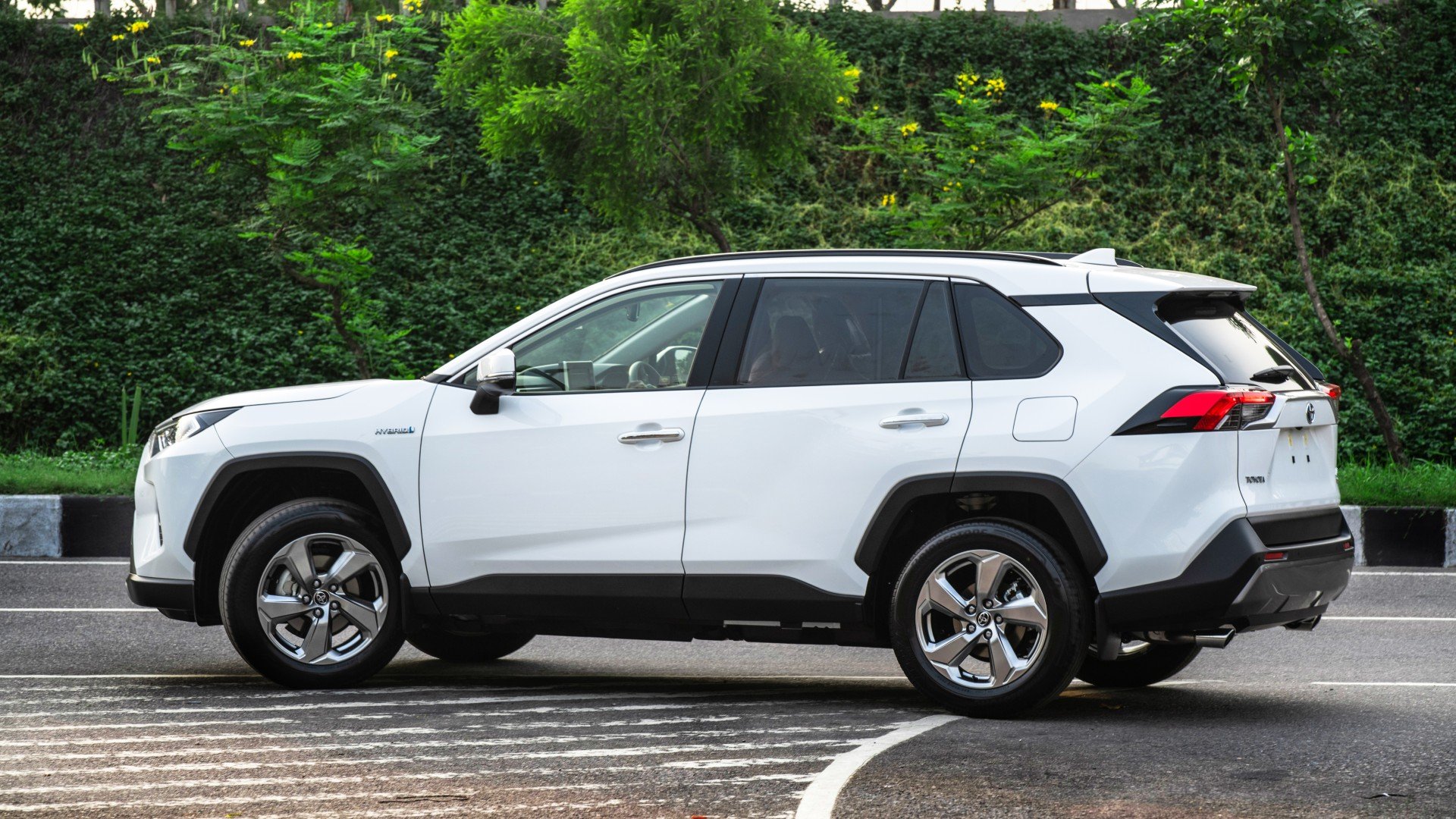 RAV4 Banner.jpg