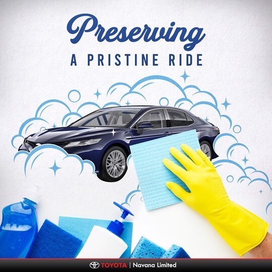 pandemic car 03.jpg